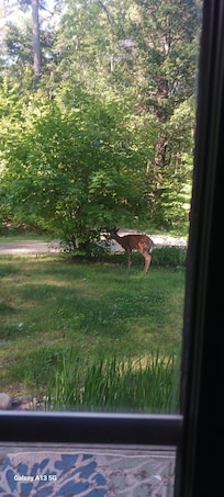 A morning visit.