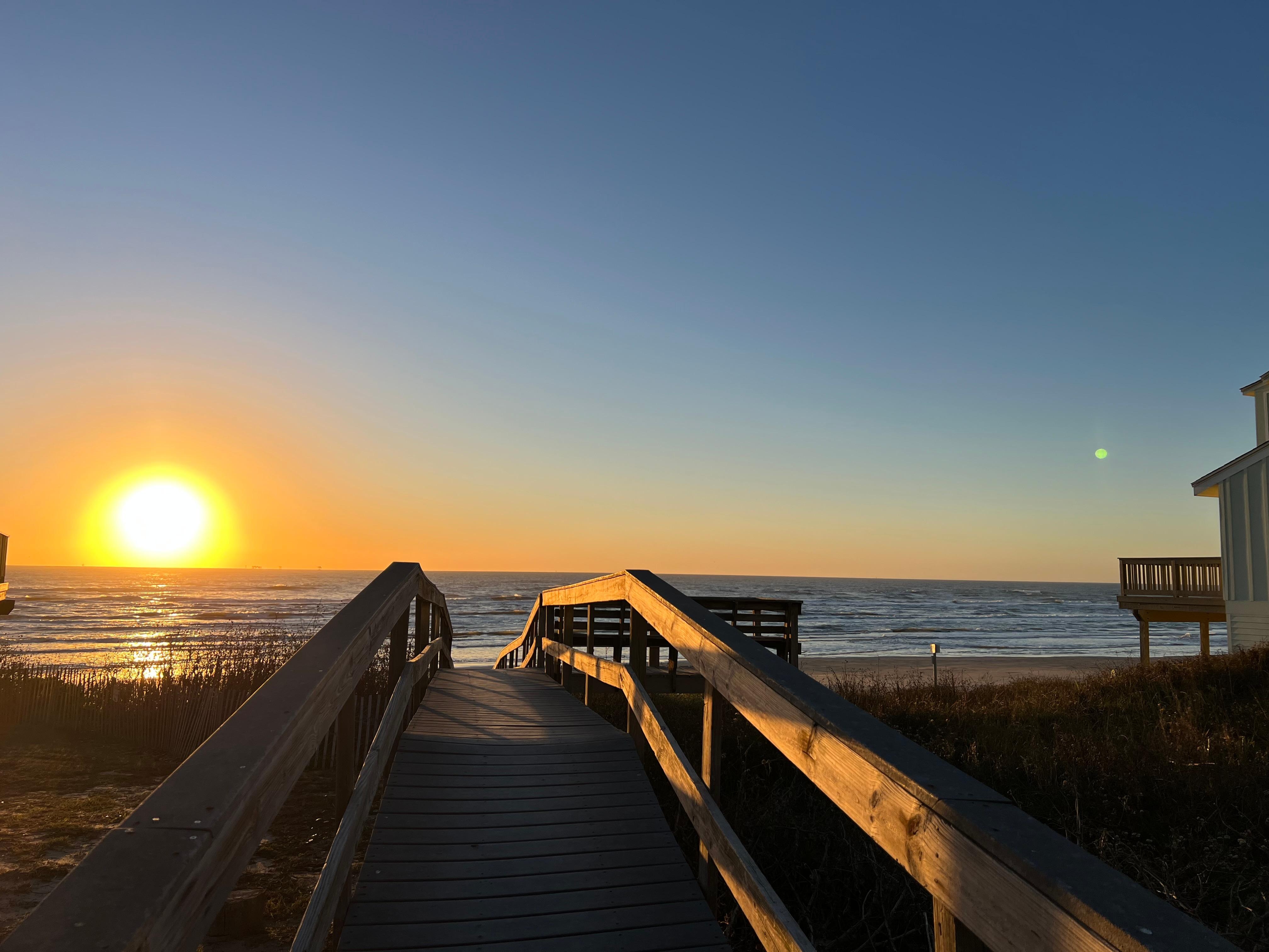 Not kidding, this is right outside the house.