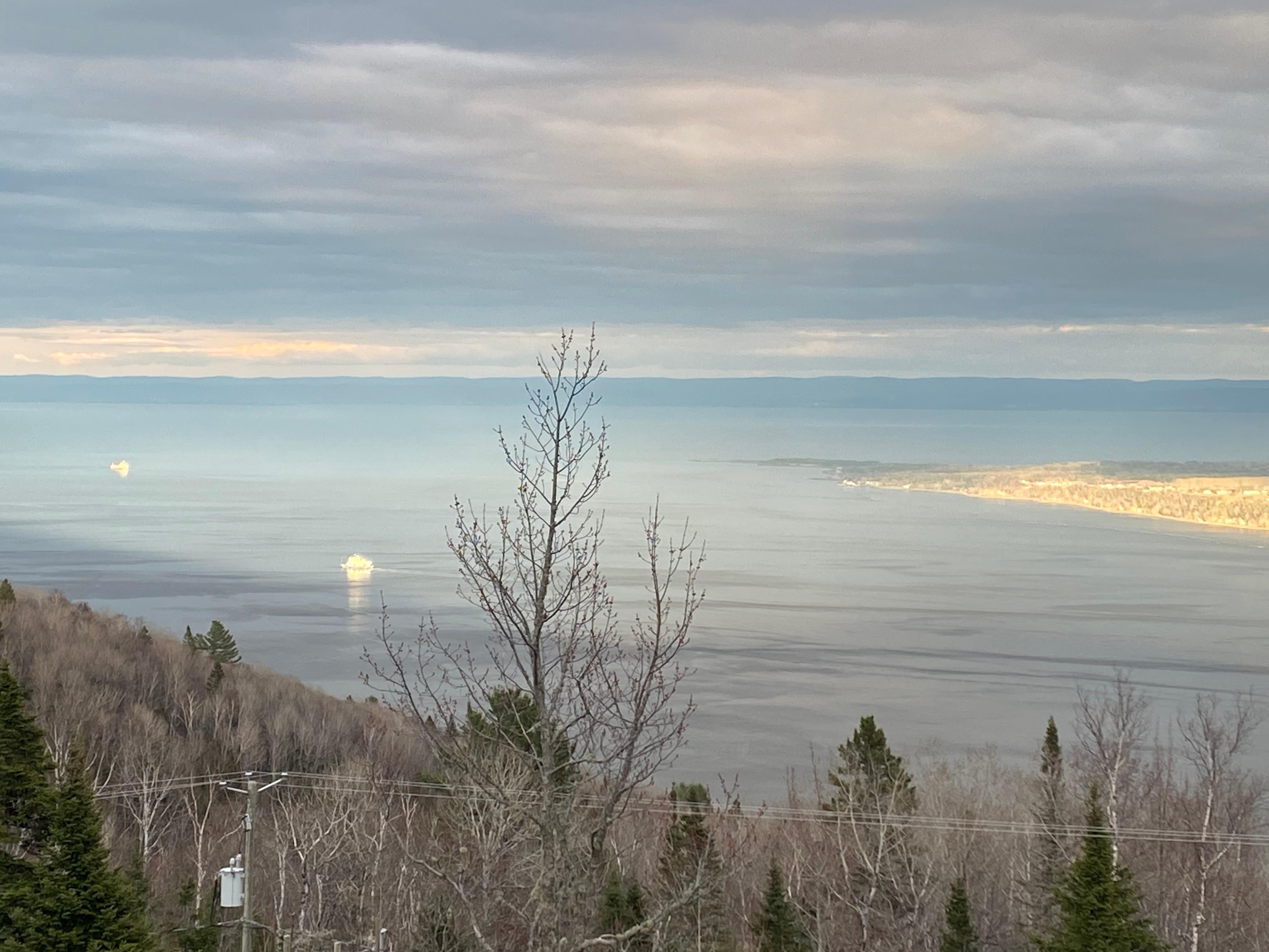 Morning view