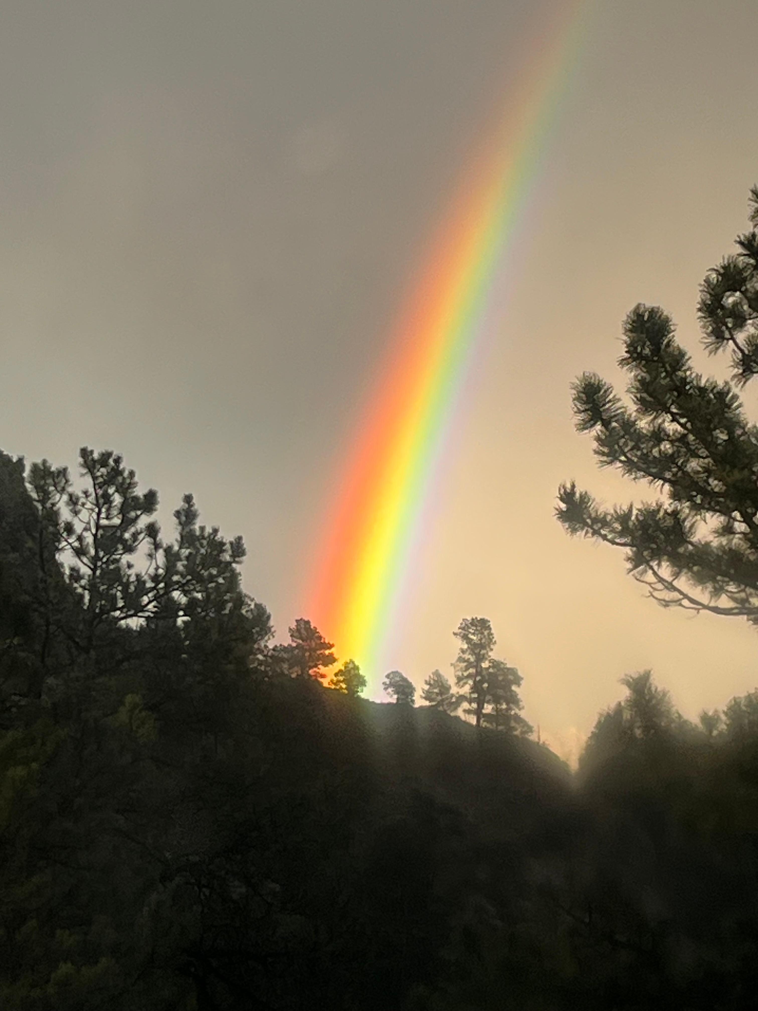Rainbow