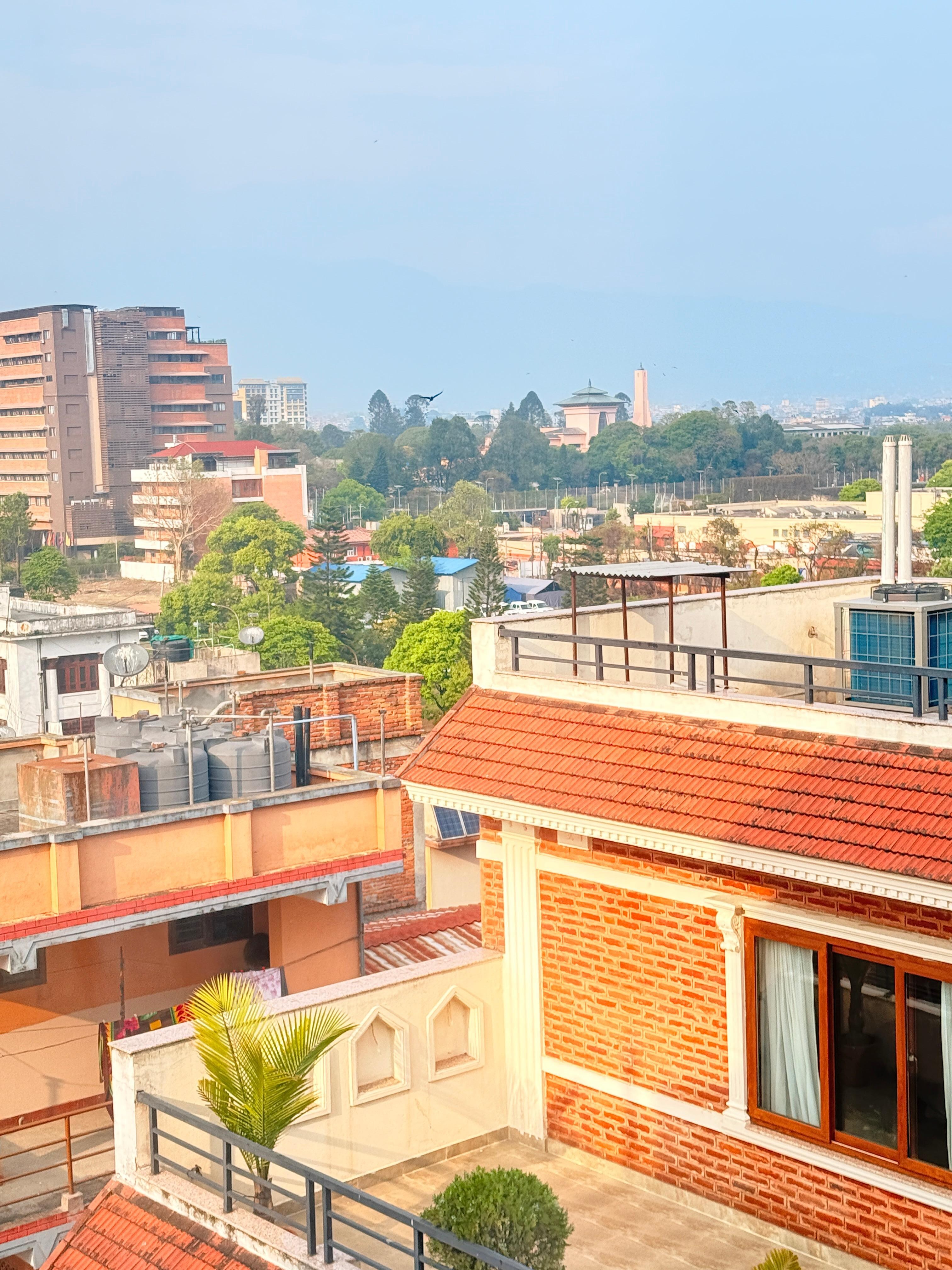Rooftop view 