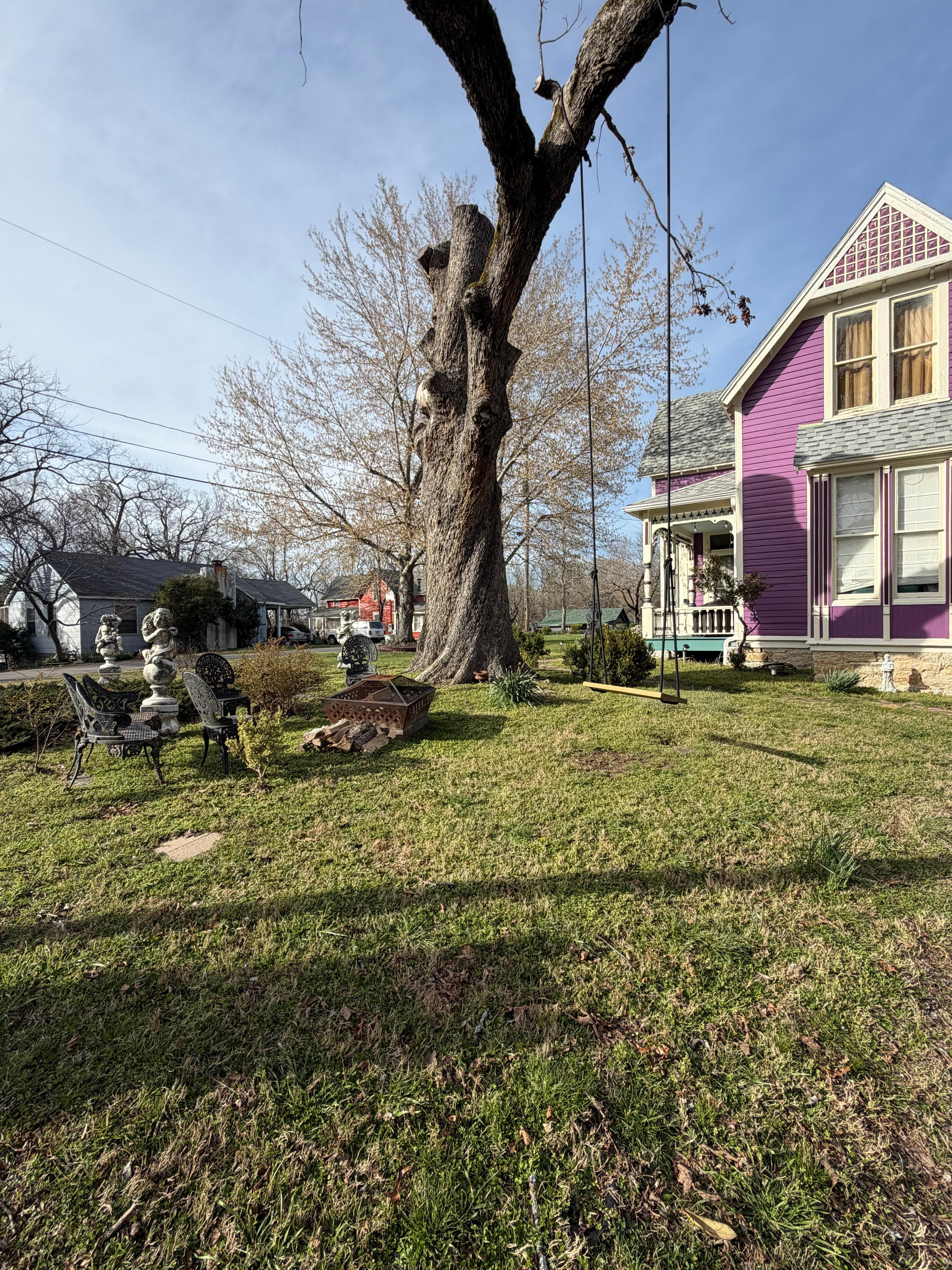 Fire pit/garden area with tree swing