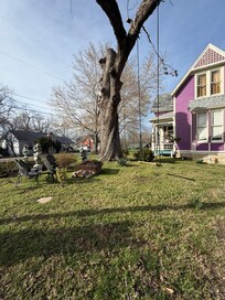 Fire pit/garden area with tree swing
