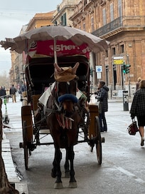 Cute horse drawn carriages.