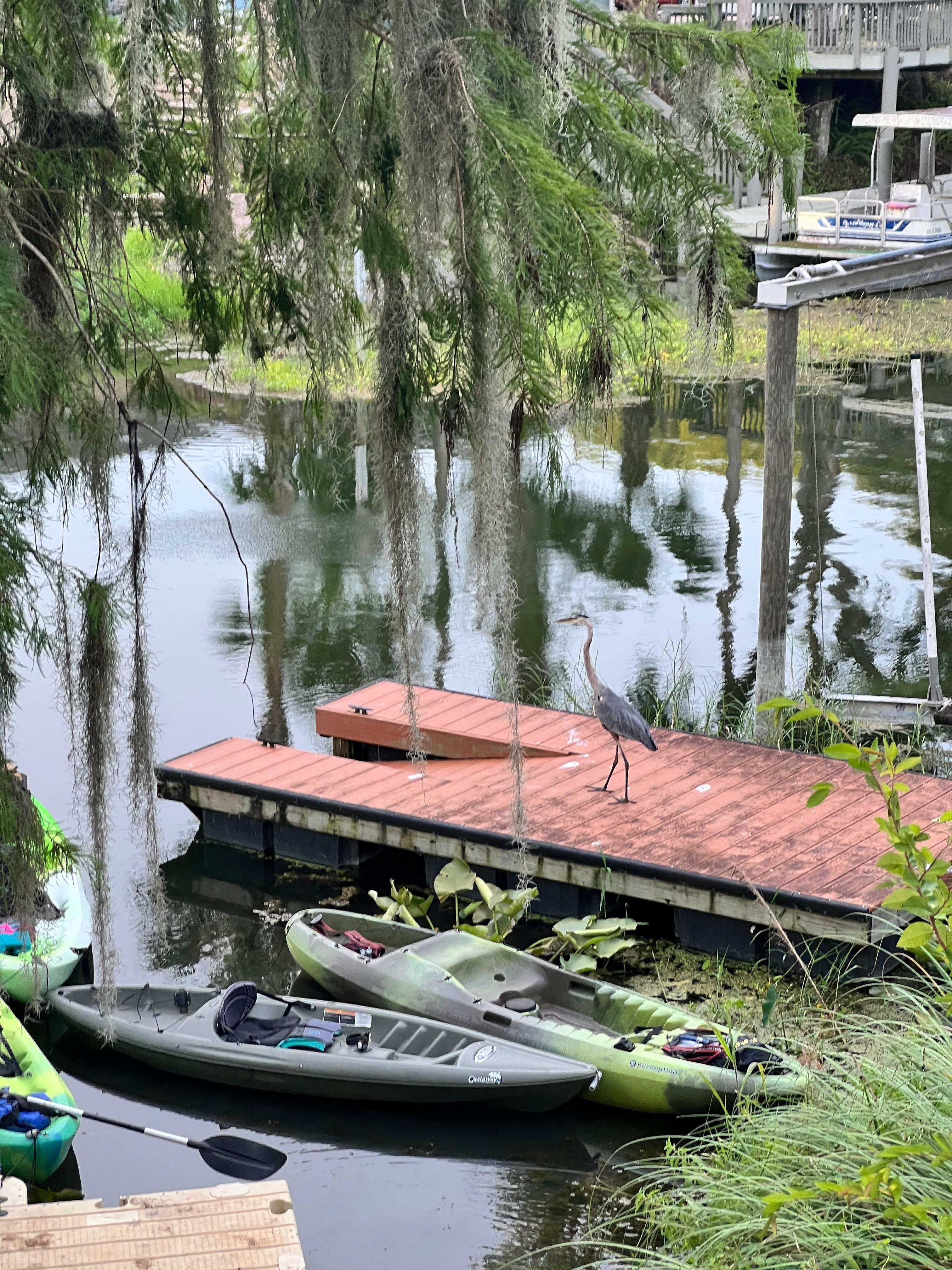 Kayak dock