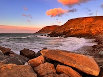 Looking easterly at head of inlet to cove
