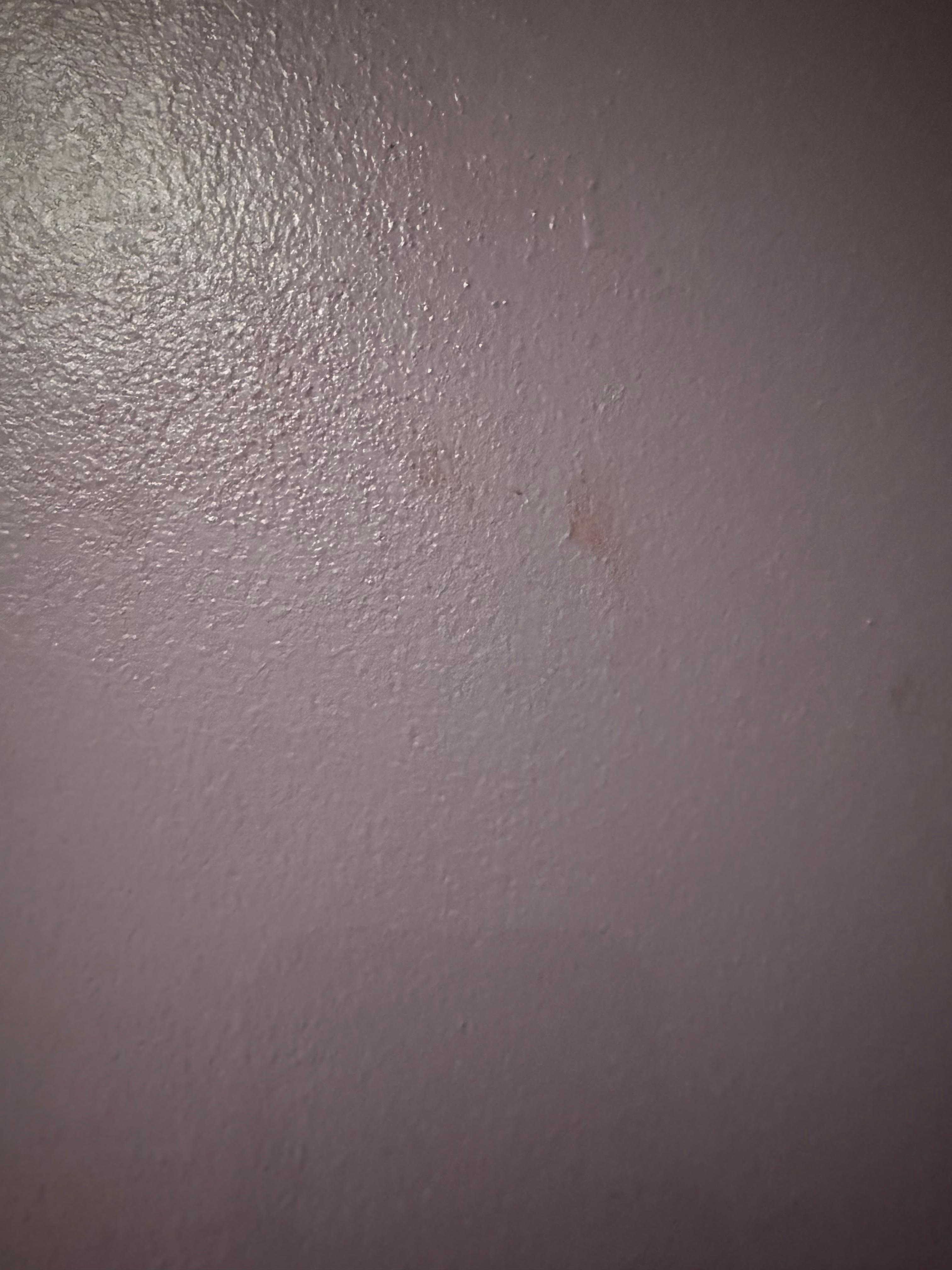 Väggarna i sovrumnet