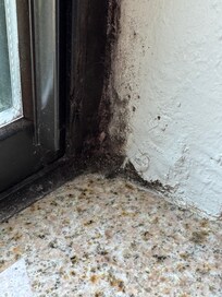Black mold on the window in room 119