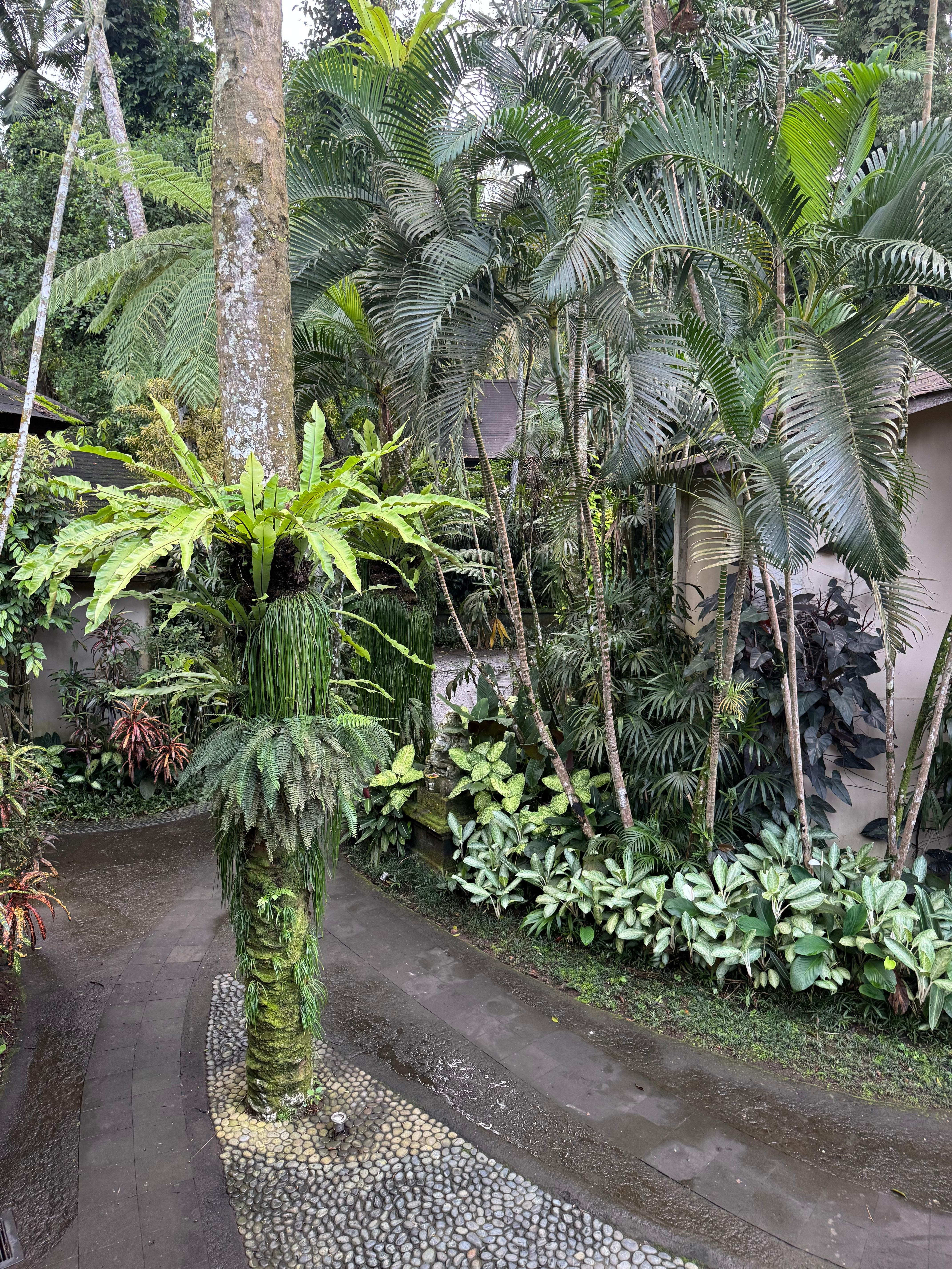 walking path through the lodge