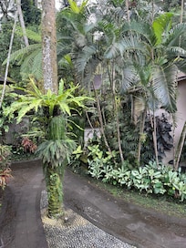 walking path through the lodge