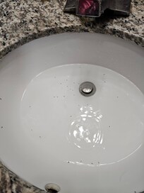 The black spots are ants we poured out of our cups after 7hrs of being there