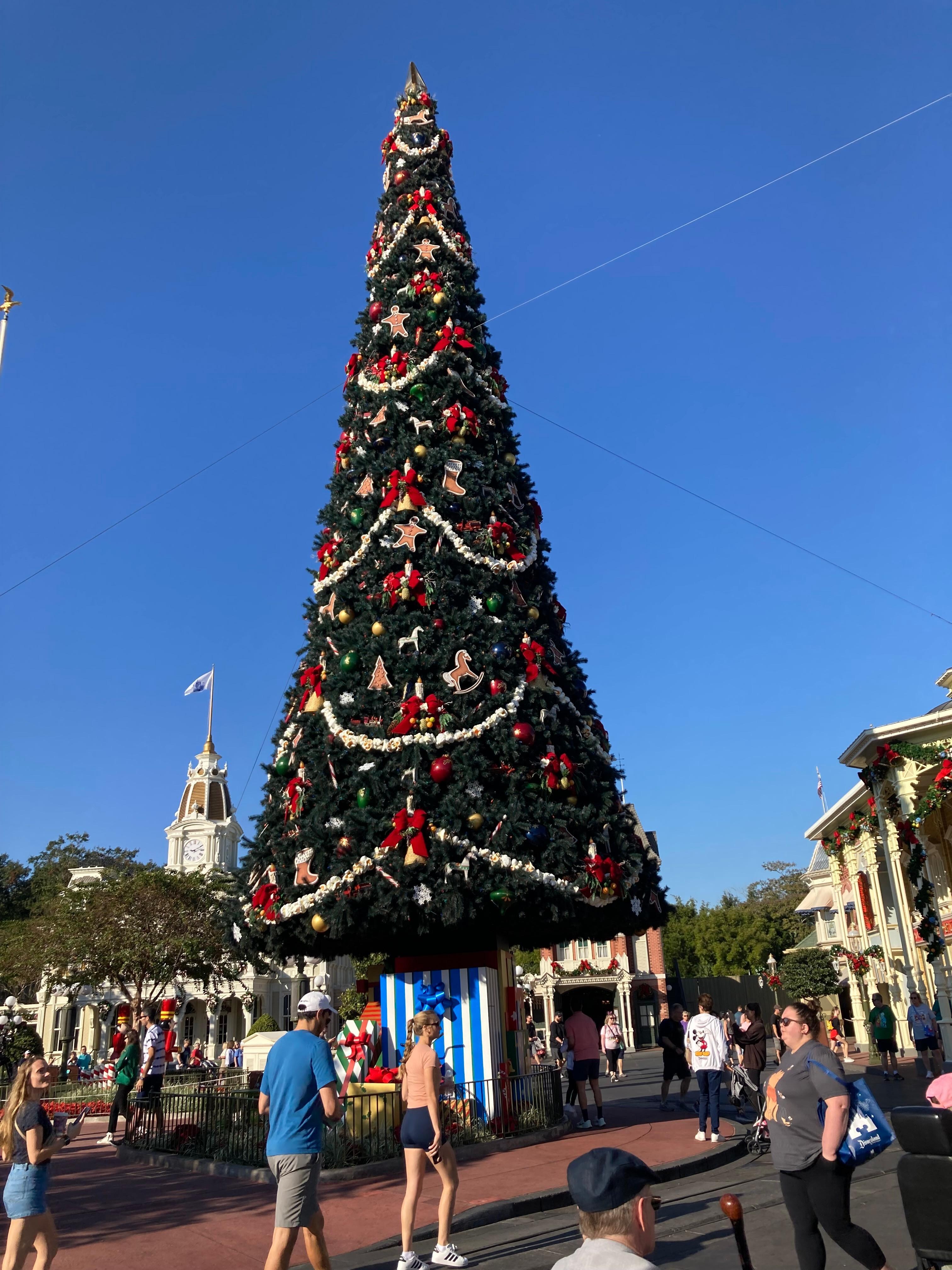 Disney all decorated for the Holidays so neat