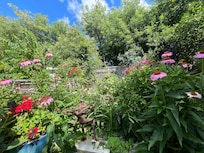 View from the tiny house’s garden sitting area.