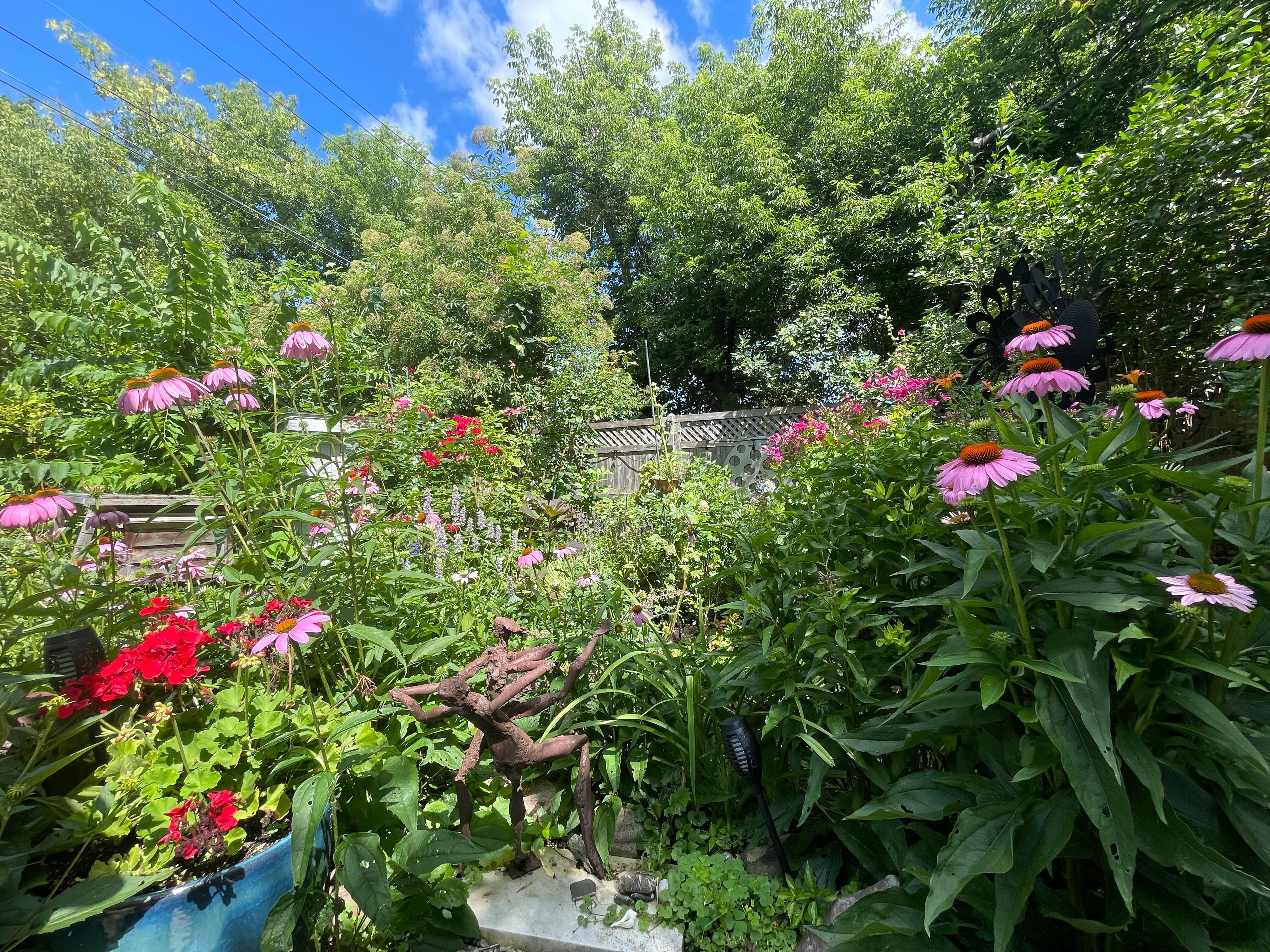 View from the tiny house’s garden sitting area.