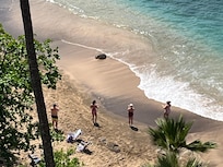 Our resident turtle!