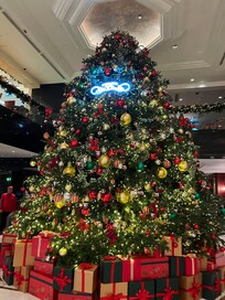 Giant Xmas tree in the entrance