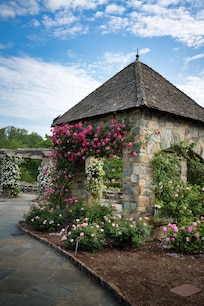 Roses in Lewis Ginter.
