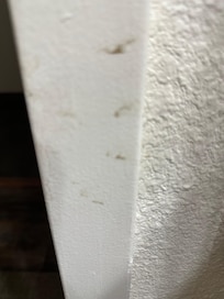 Filth everywhere