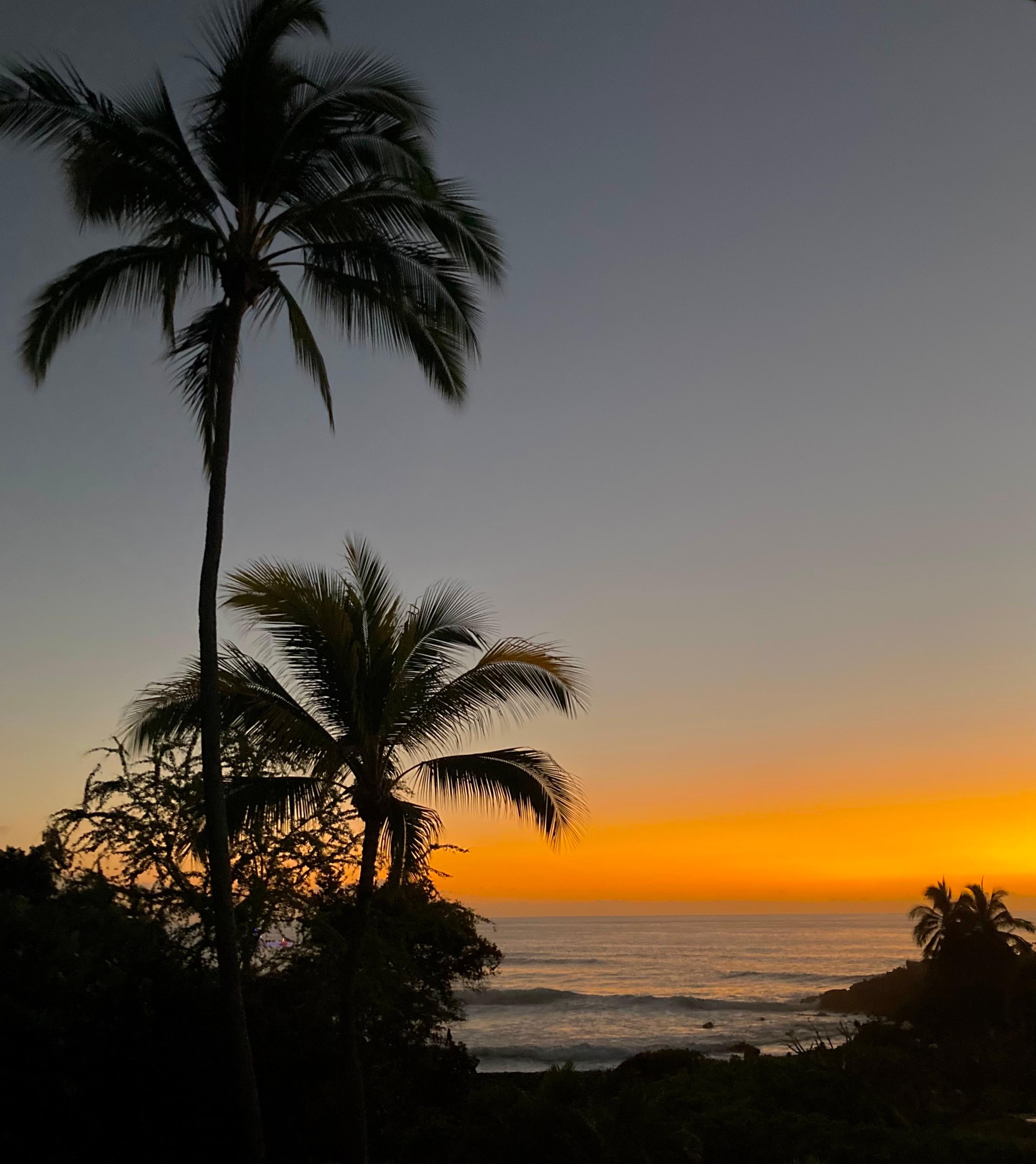 View of sunset from lawn behind pool 