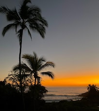 View of sunset from lawn behind pool