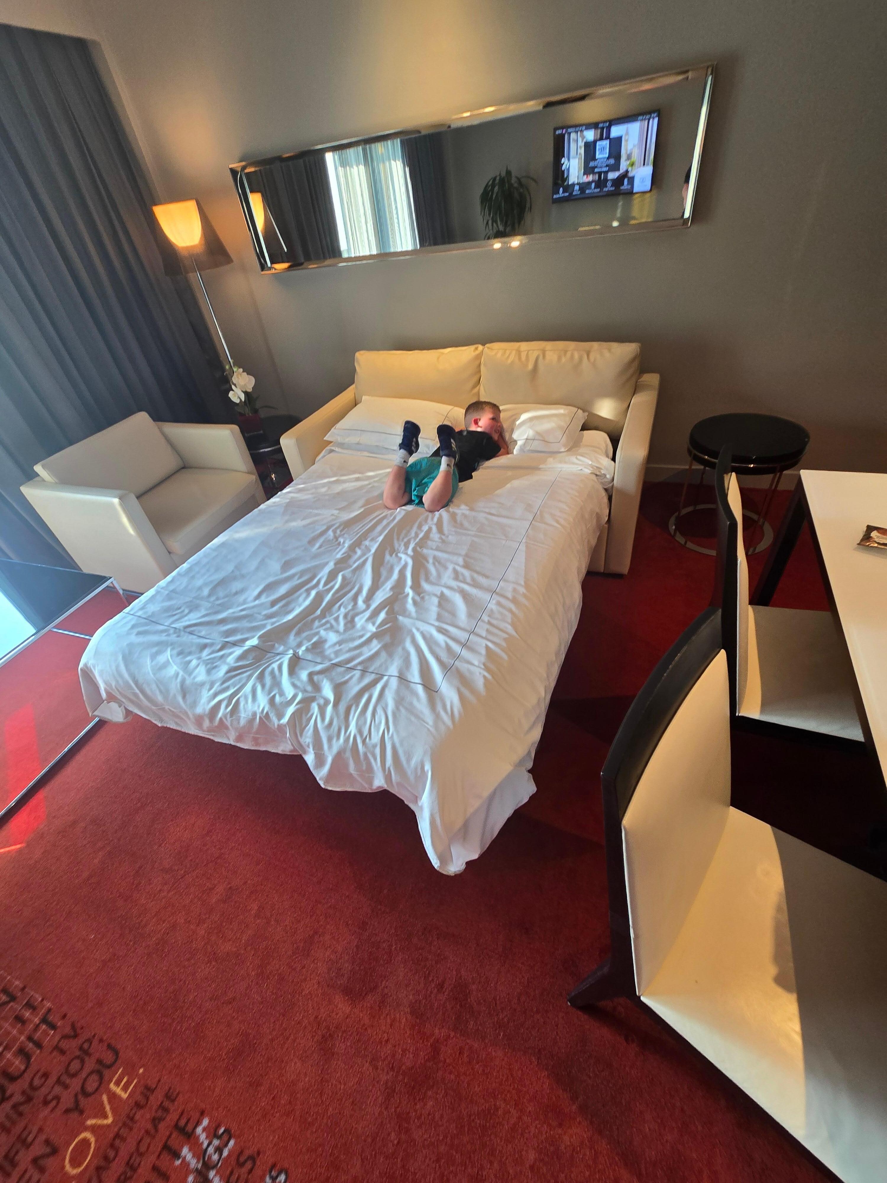 Living room with pull-out couch