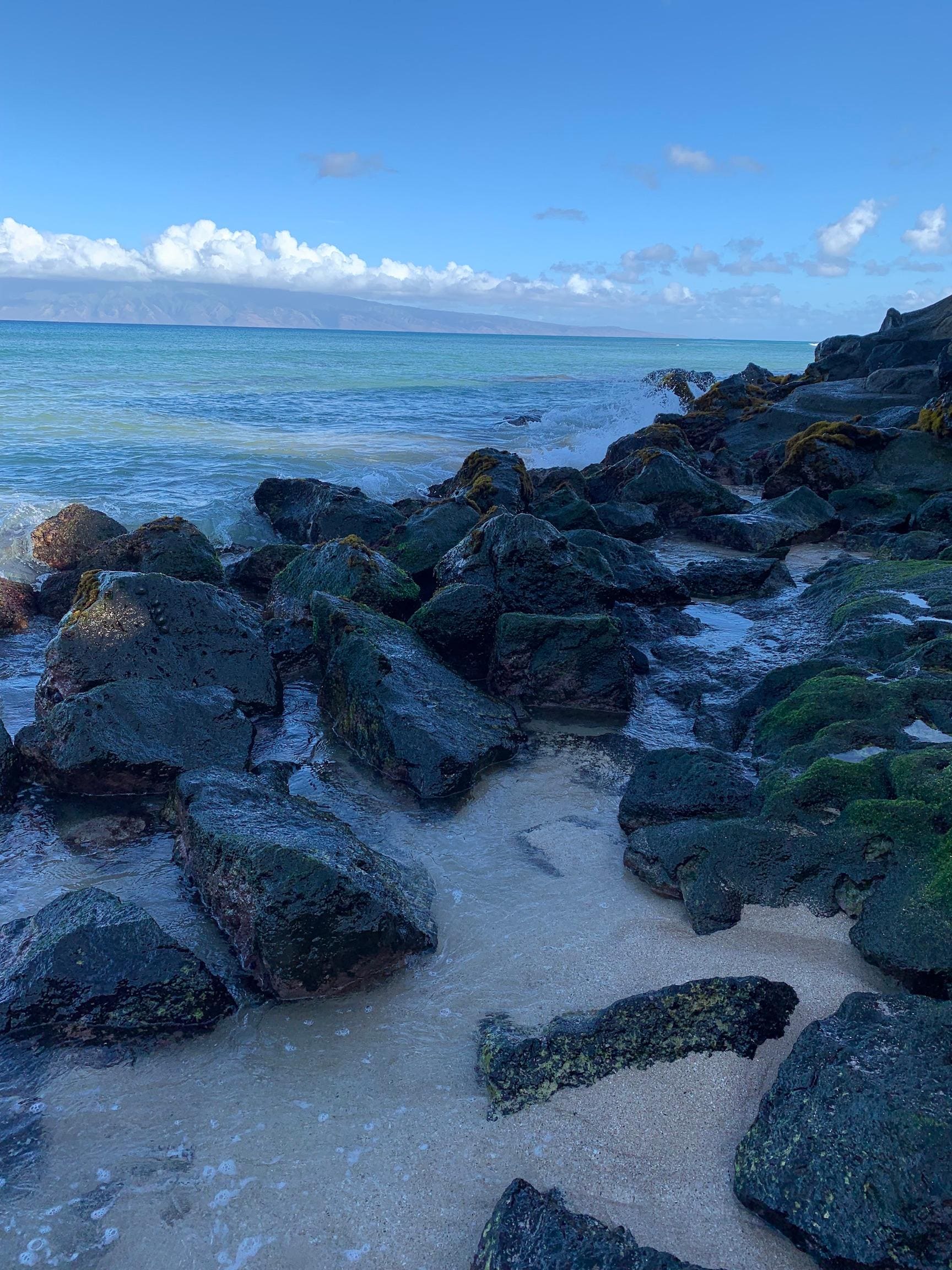 View from the beach access