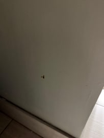 Fluid on bathroom walls