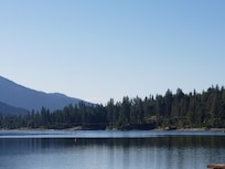 View from the grounds