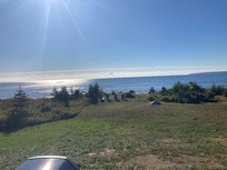 Afternoon view from patio