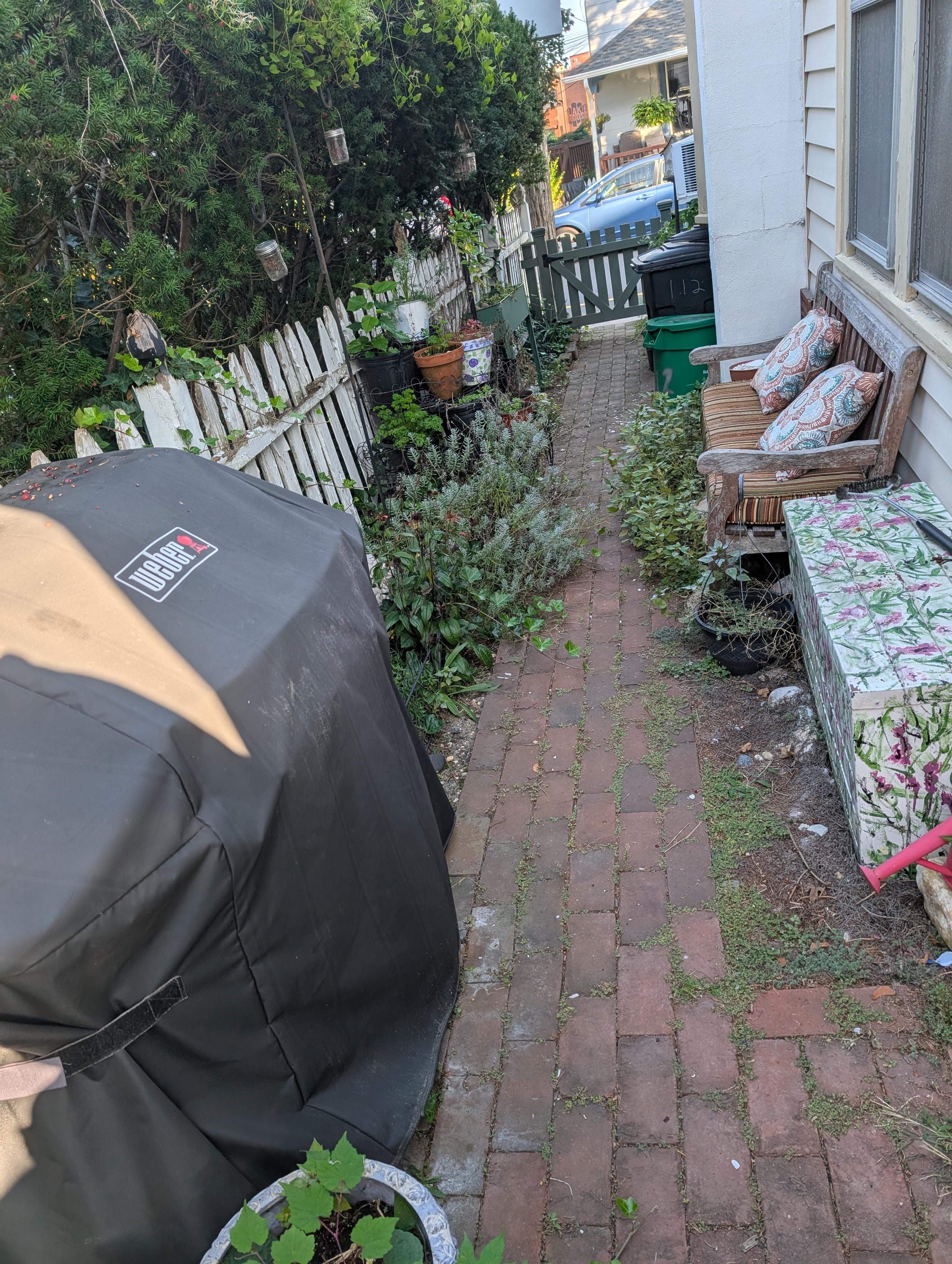 Greenery overgrown taking over walkway