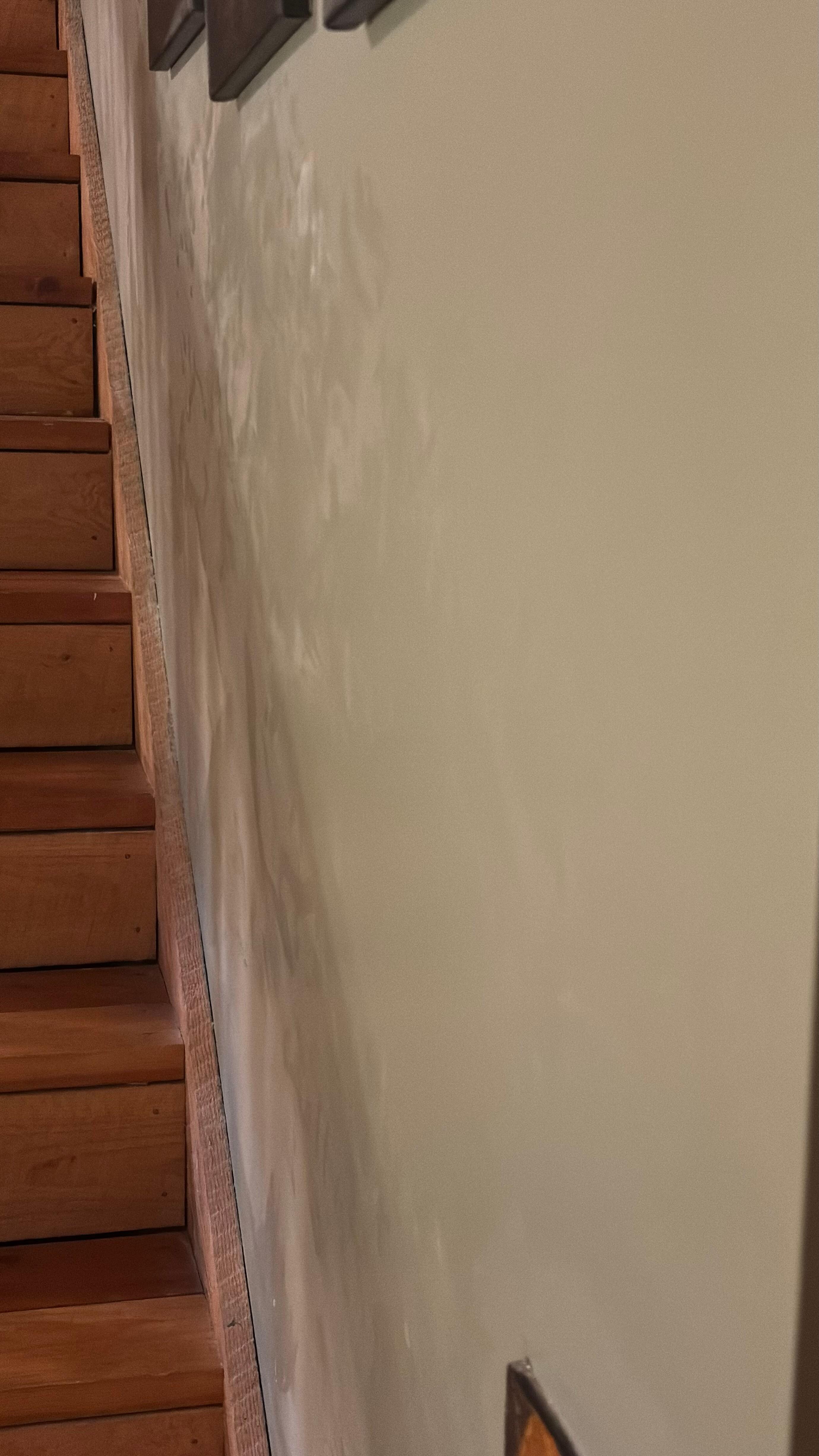 The dust buildup along the wall going up the stairs. The entire cabin was like this.