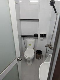 Expected bathroom facilities. No separation between toilet and hand held shower head. Very small space.