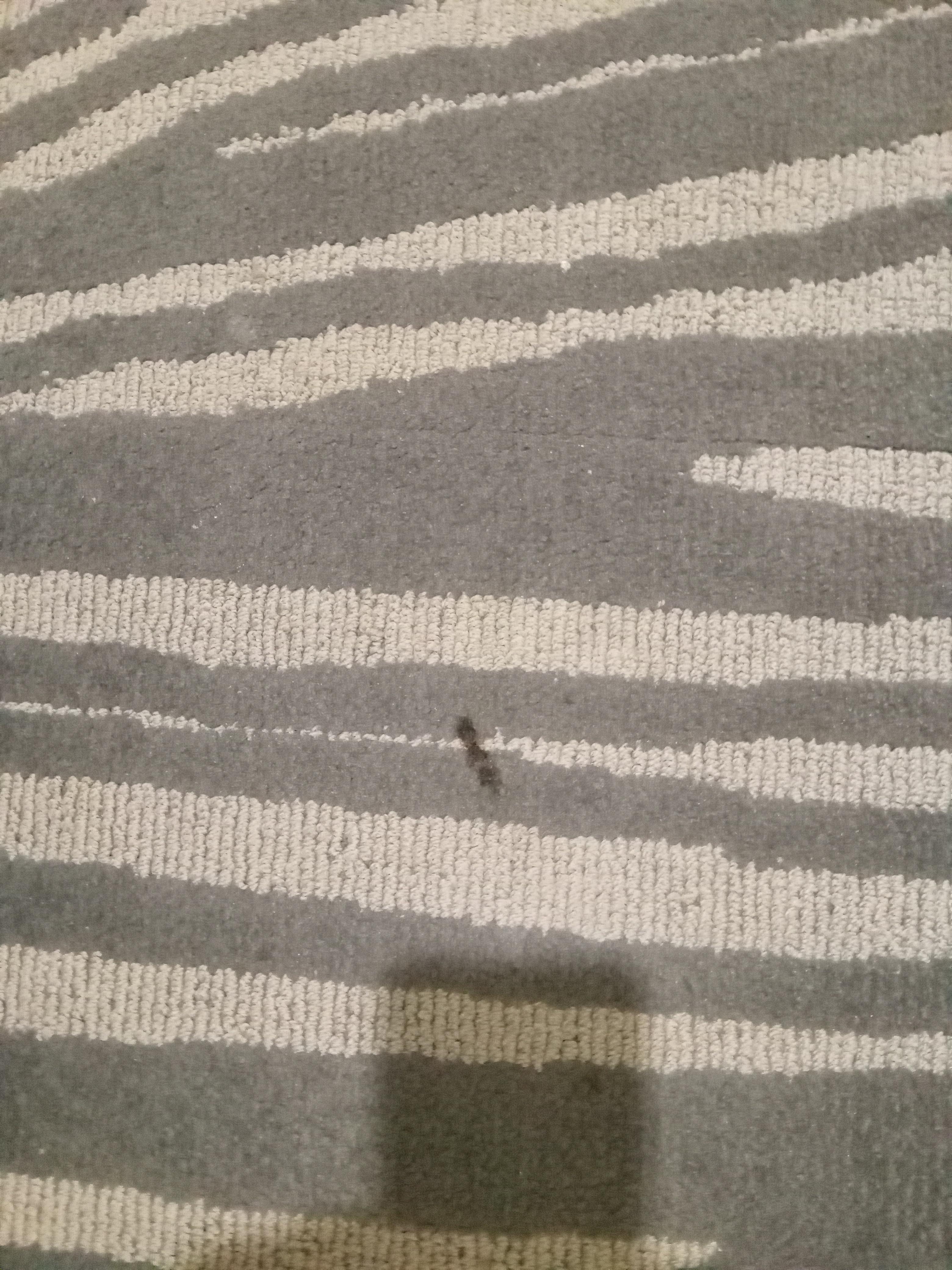 Burn marks on carpet