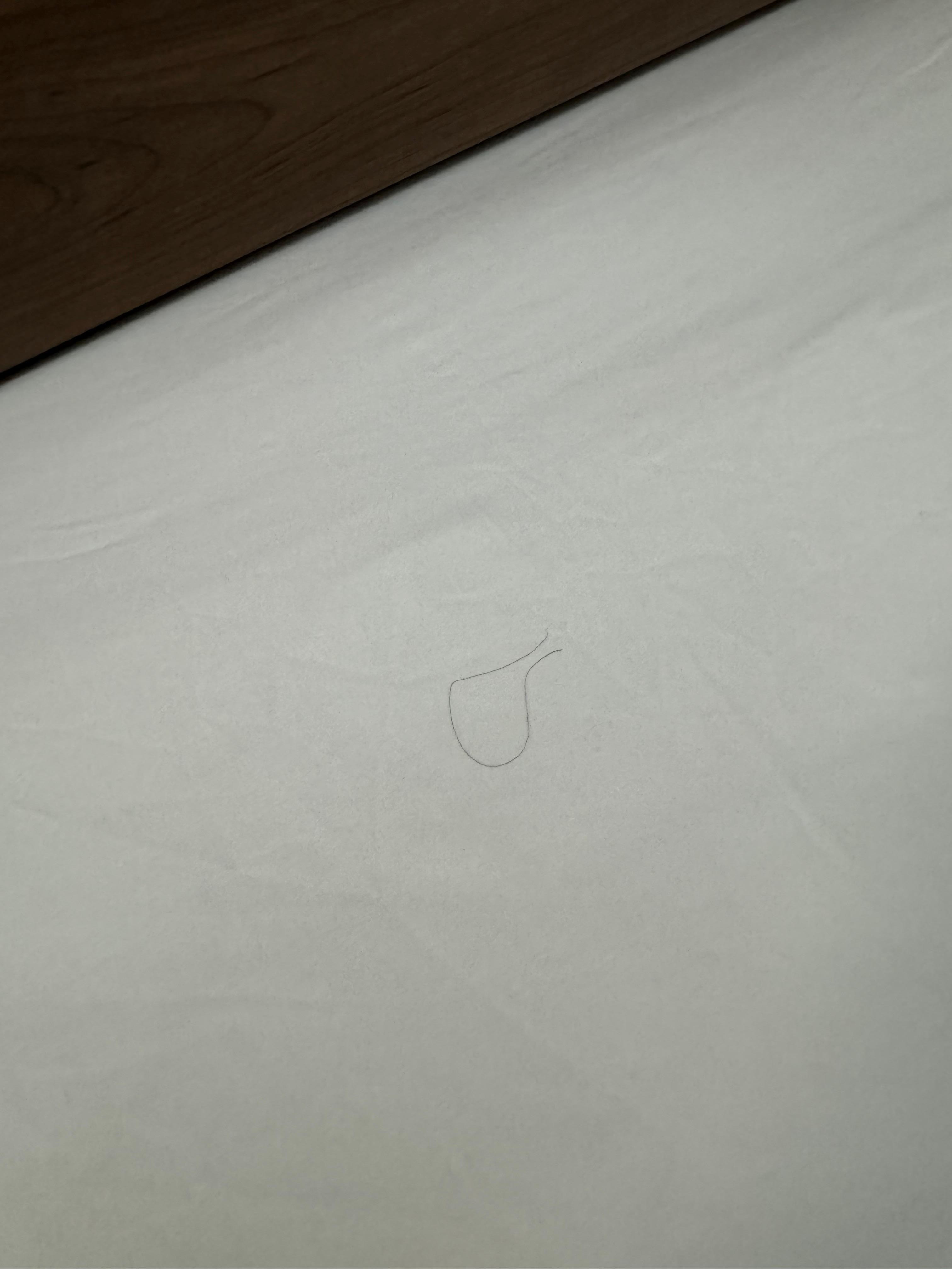 Hairs in bed sheets 