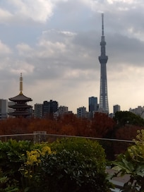 ホテルから見た景色