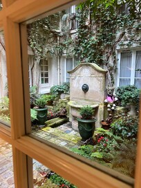 The garden where the sweetest, tiny house cat Chanel lounges.