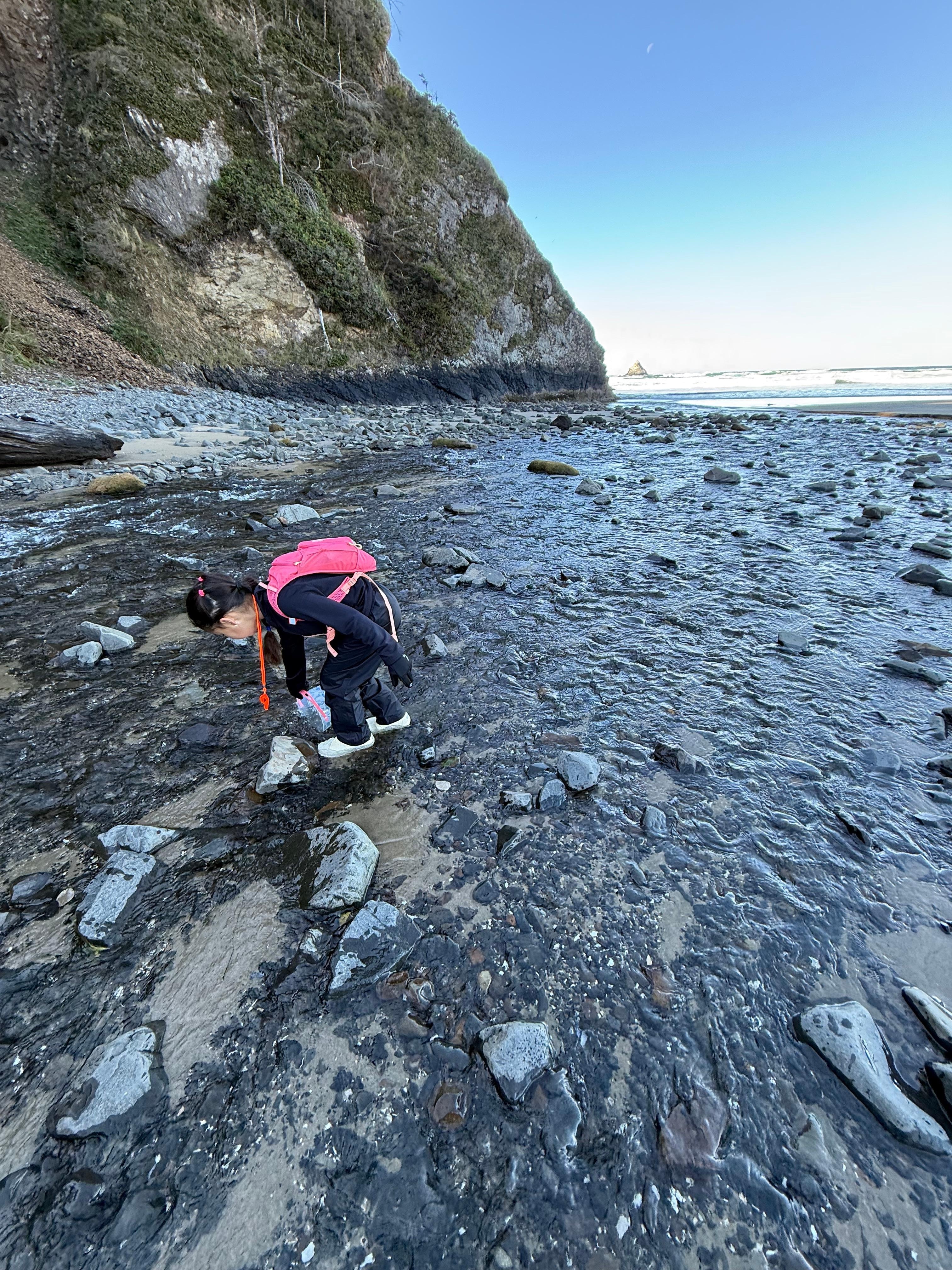 Creek just to the south of home on beach. 