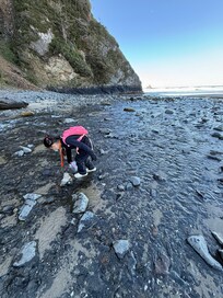 Creek just to the south of home on beach.