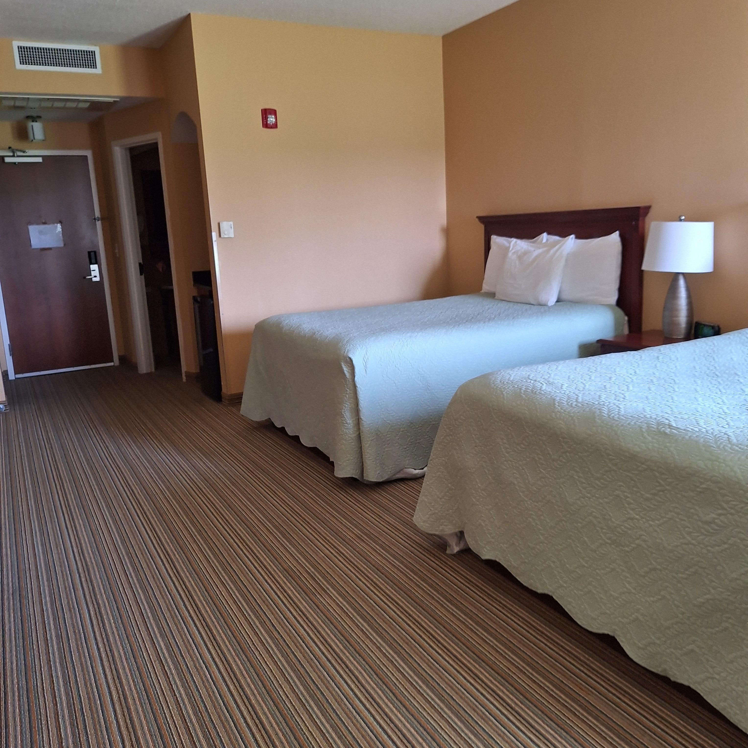 Clean and comfortable room