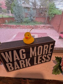 We loved the pup-friendly stay.