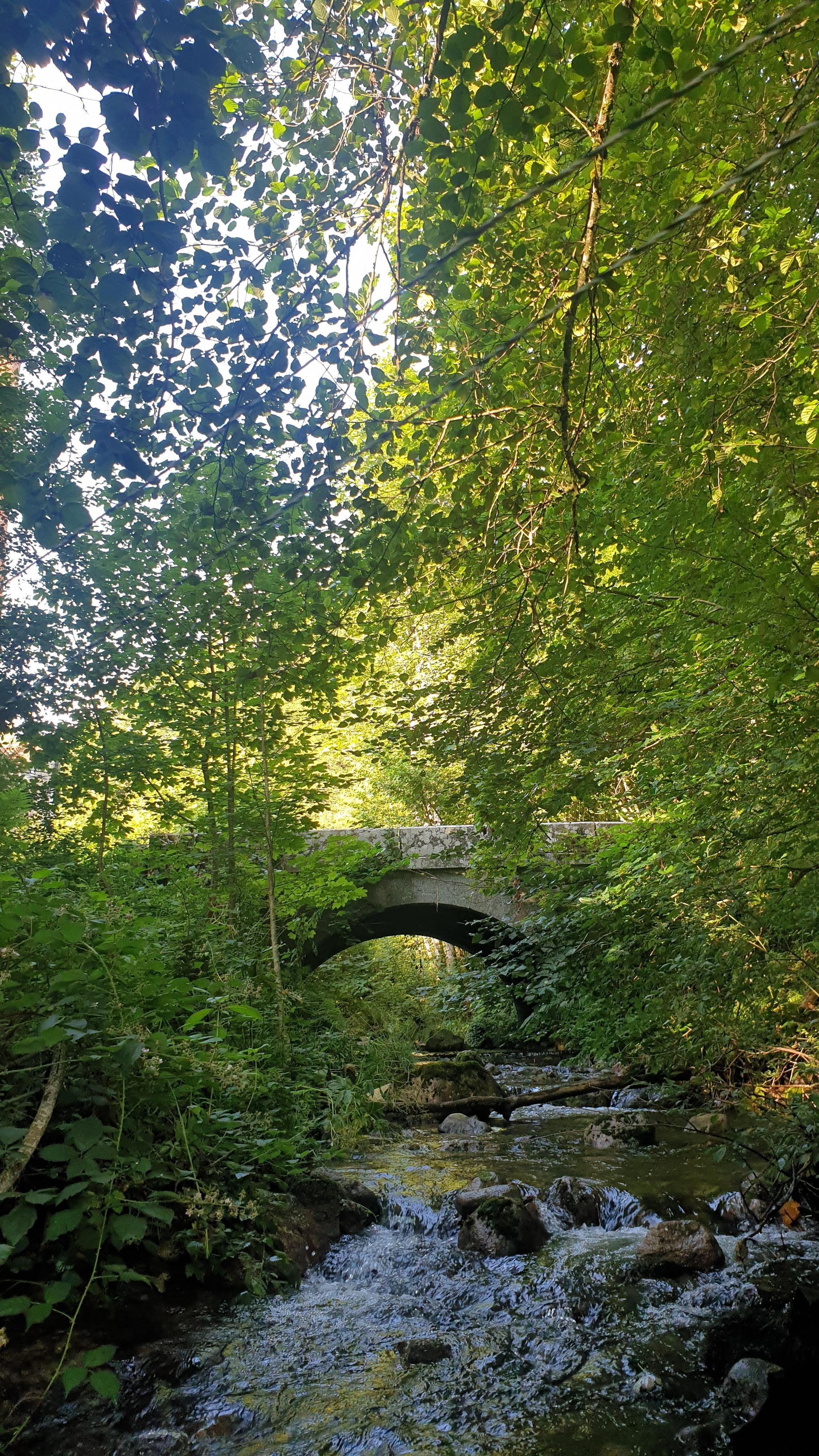 De beek achter het huis 