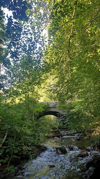 De beek achter het huis