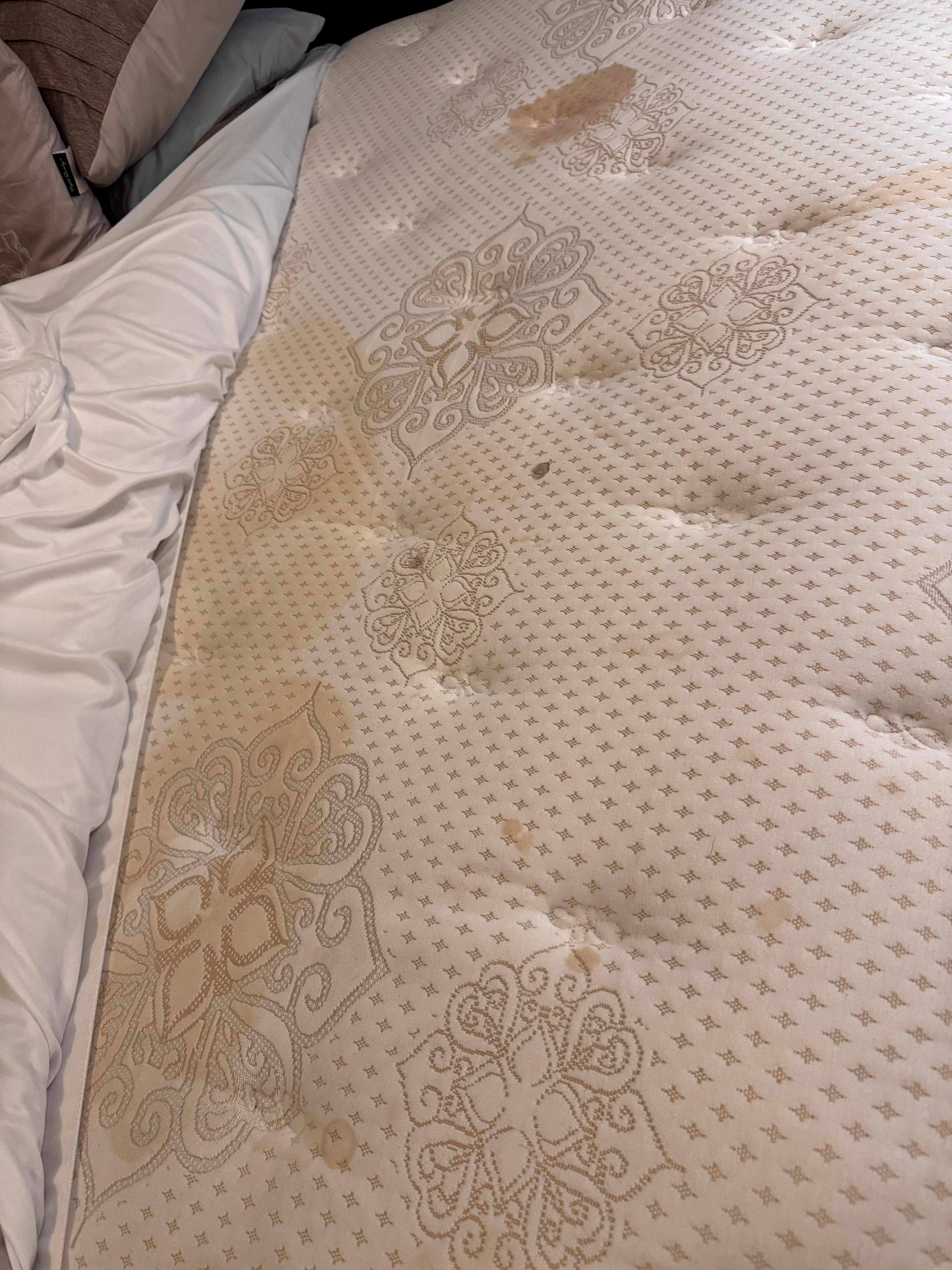 Master Bed Mattress