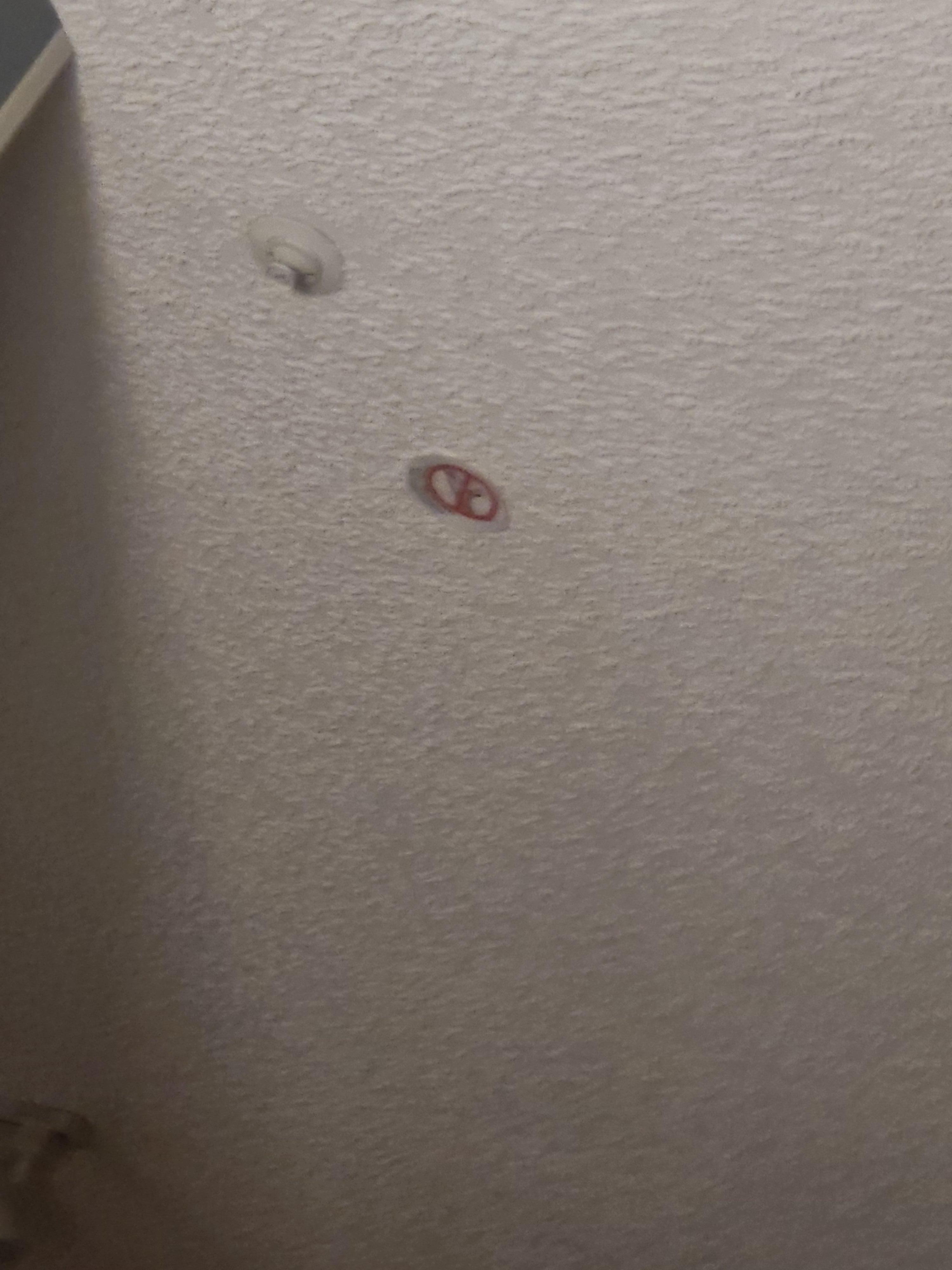 Mold in ceiling 