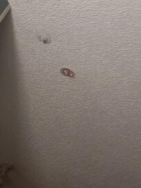 Mold in ceiling