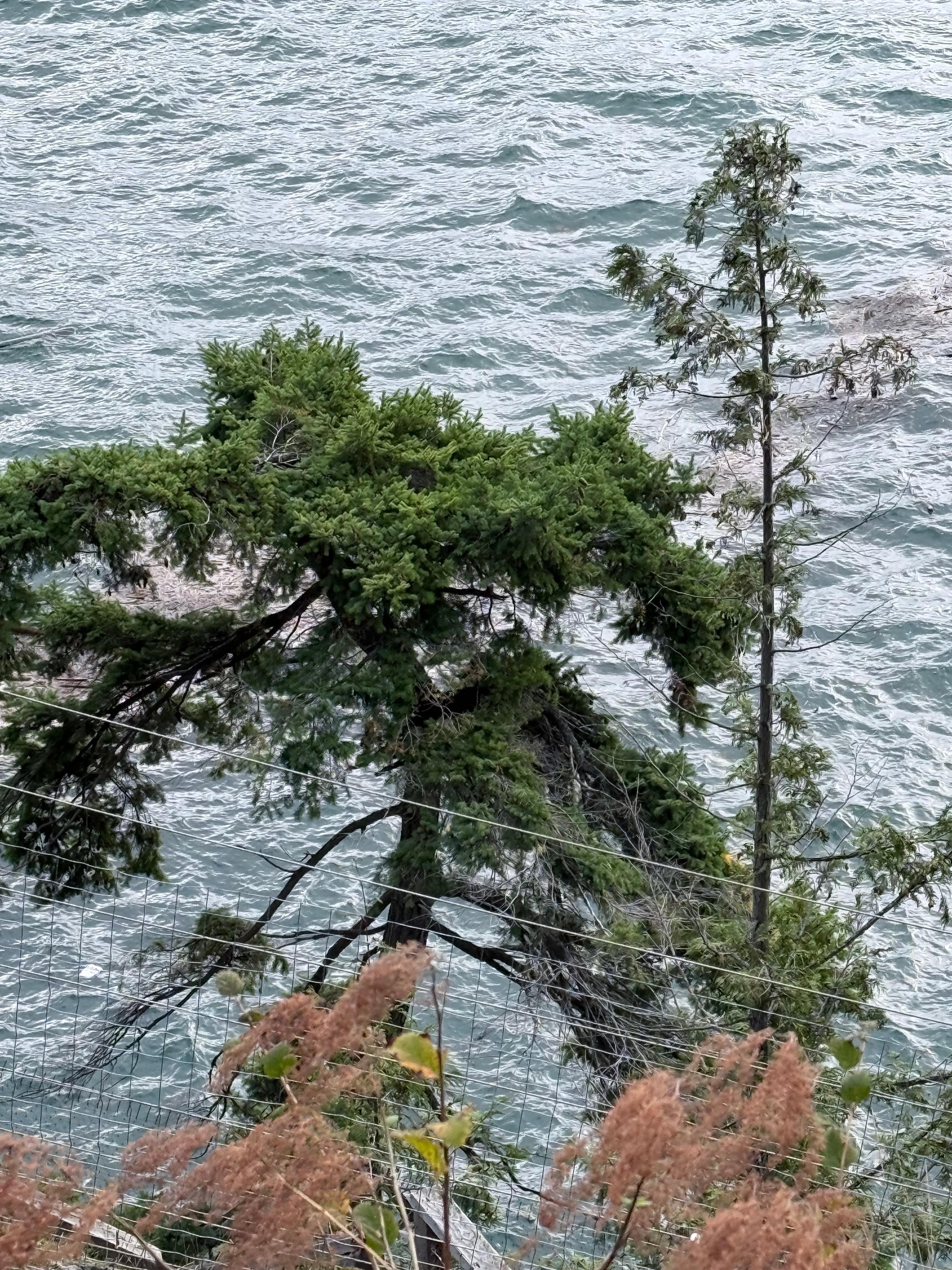 Where the eagles hang out