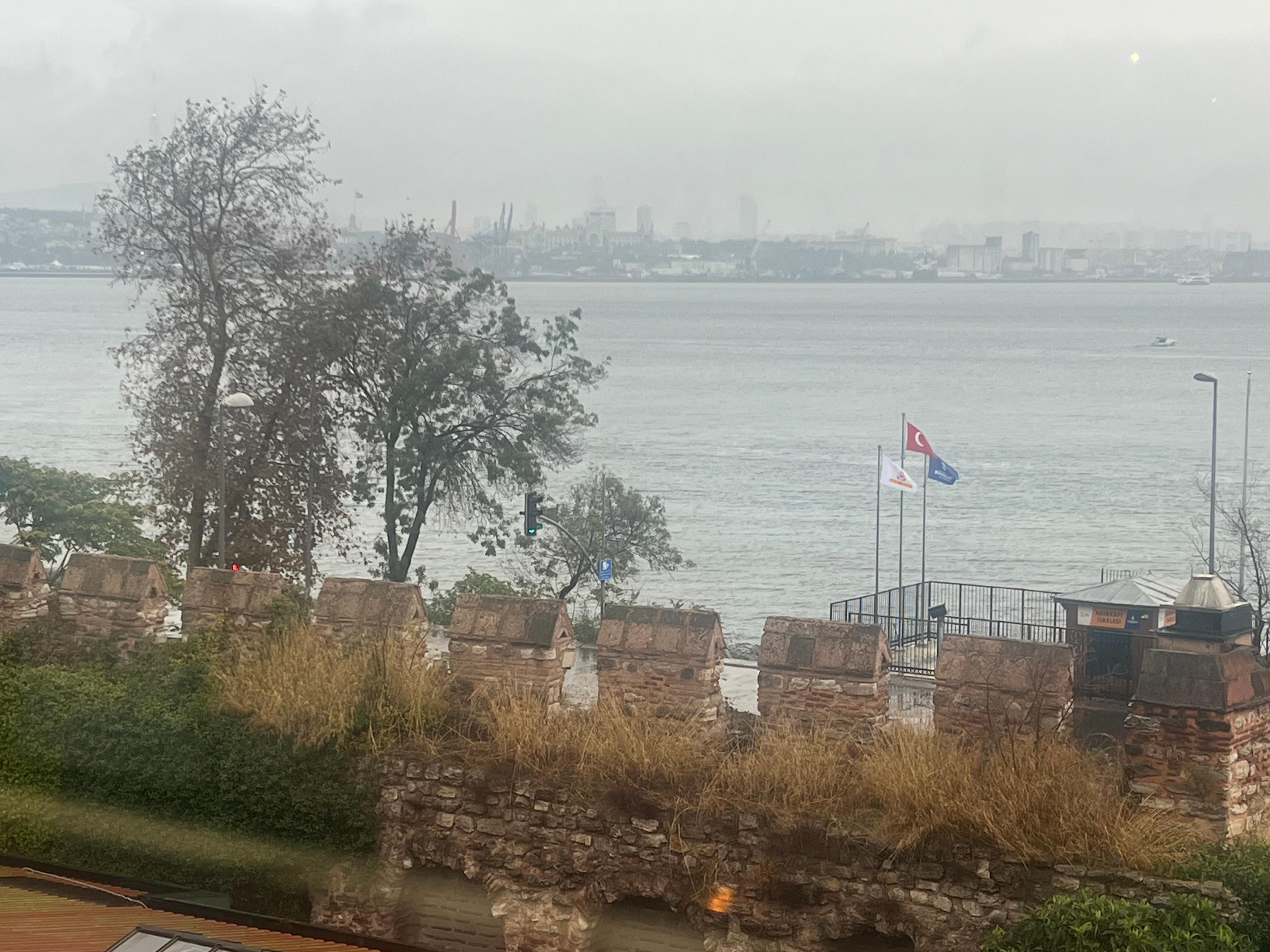 View from dining area