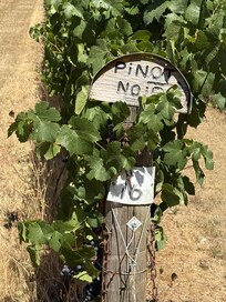 Sign on row of grape vines