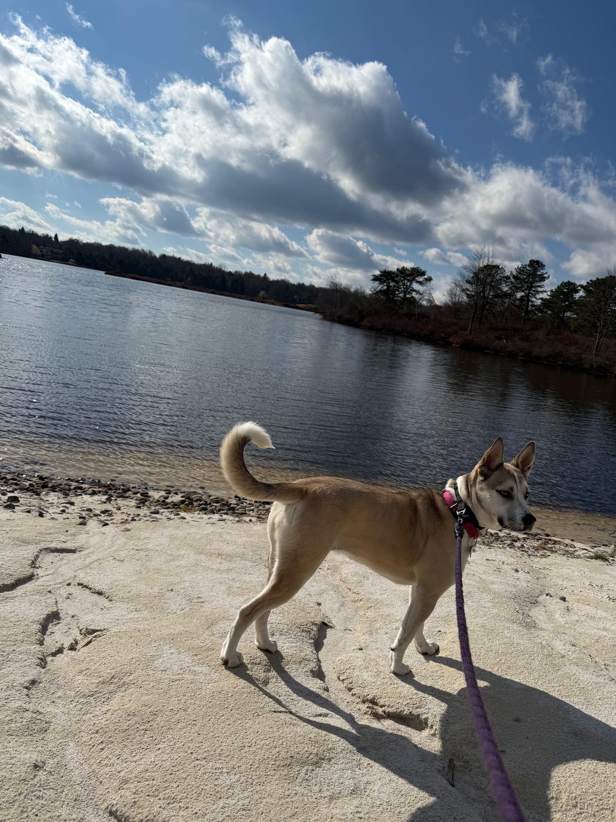 beach with baby Nova