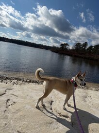 beach with baby Nova